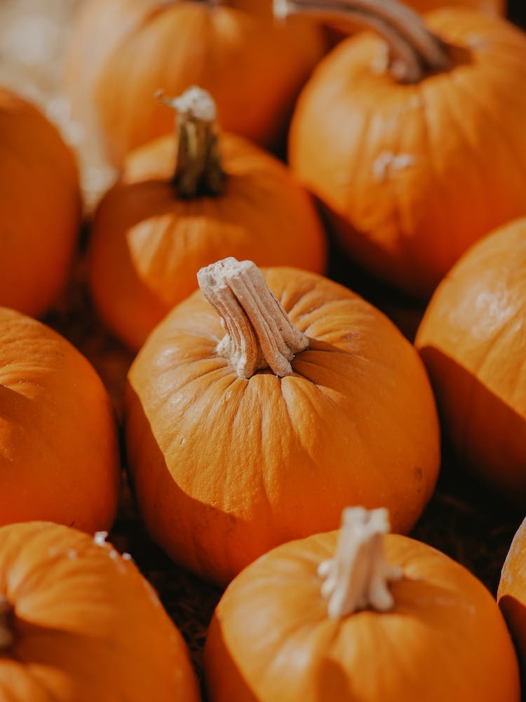Perfect Pumpkins