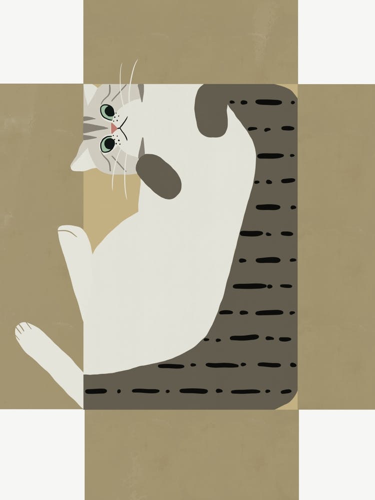Katze in einer Box
