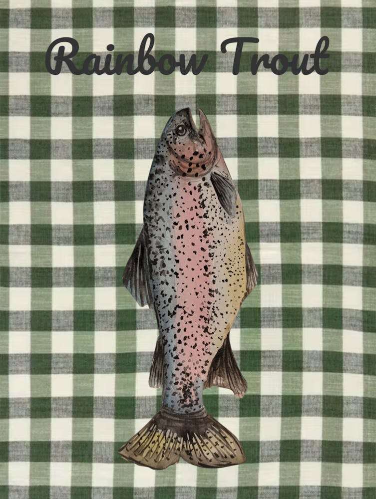 Rainbow Trout Watercolour Illustration Fish Kitchen