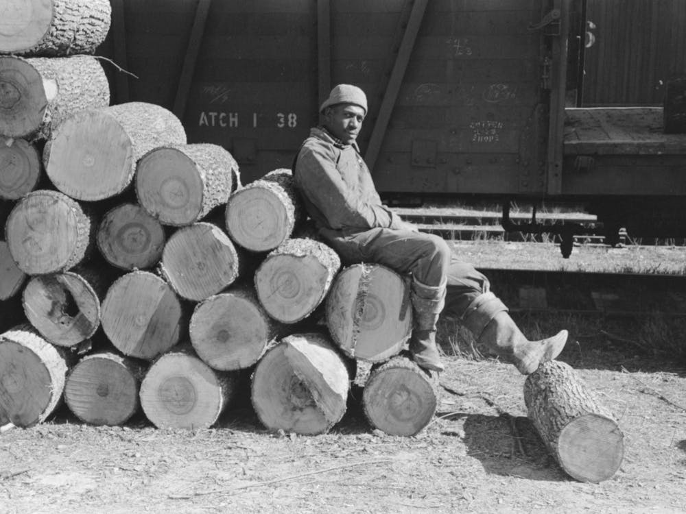 Resting On Pile Of Logs To Be Loaded Into Box Car, Eudora, Arkansas, These Logs Will Be Shipped To Tallulah, Louisiana