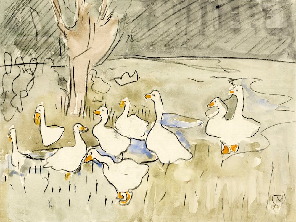 Ducks (1873–1917), Theo Van Hoytema