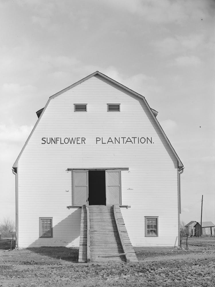 Untitled Photo, Possibly Related To Barn Sunflower Plantation, Mississippi By Russell Lee
