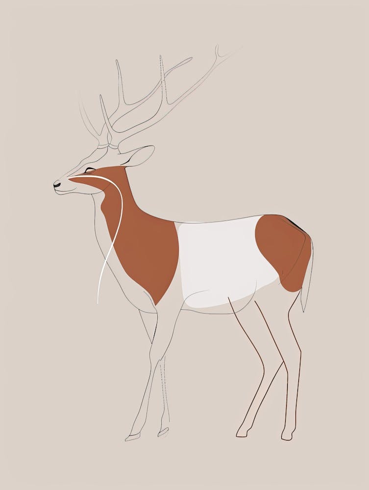 Antelope - Boho, Line Art 6