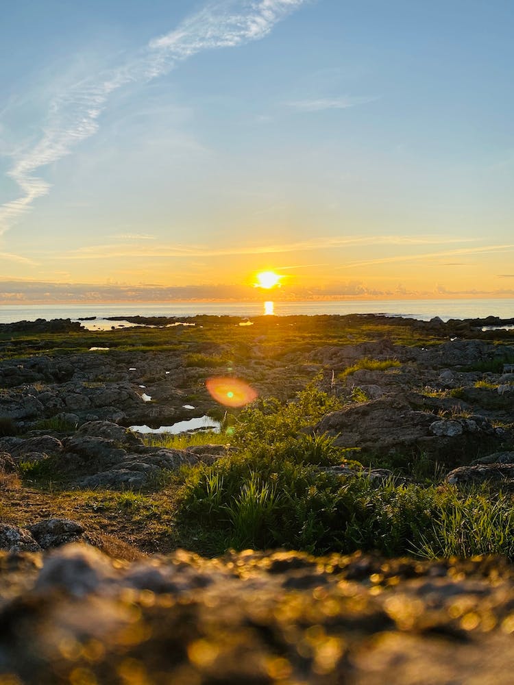 C420cea1 1973 46a4 B1b6 67928ef5b023