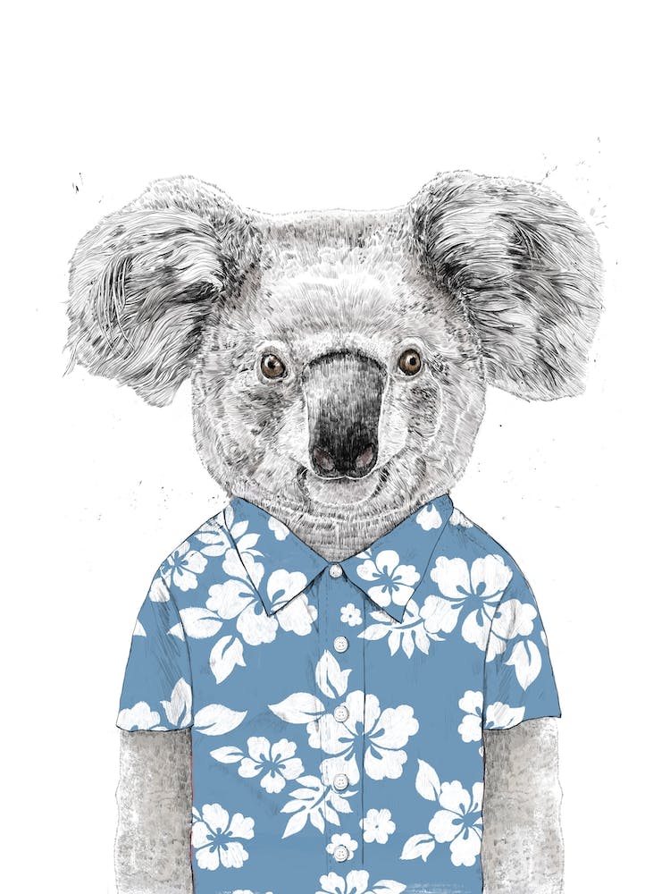 Summer koala (blue)