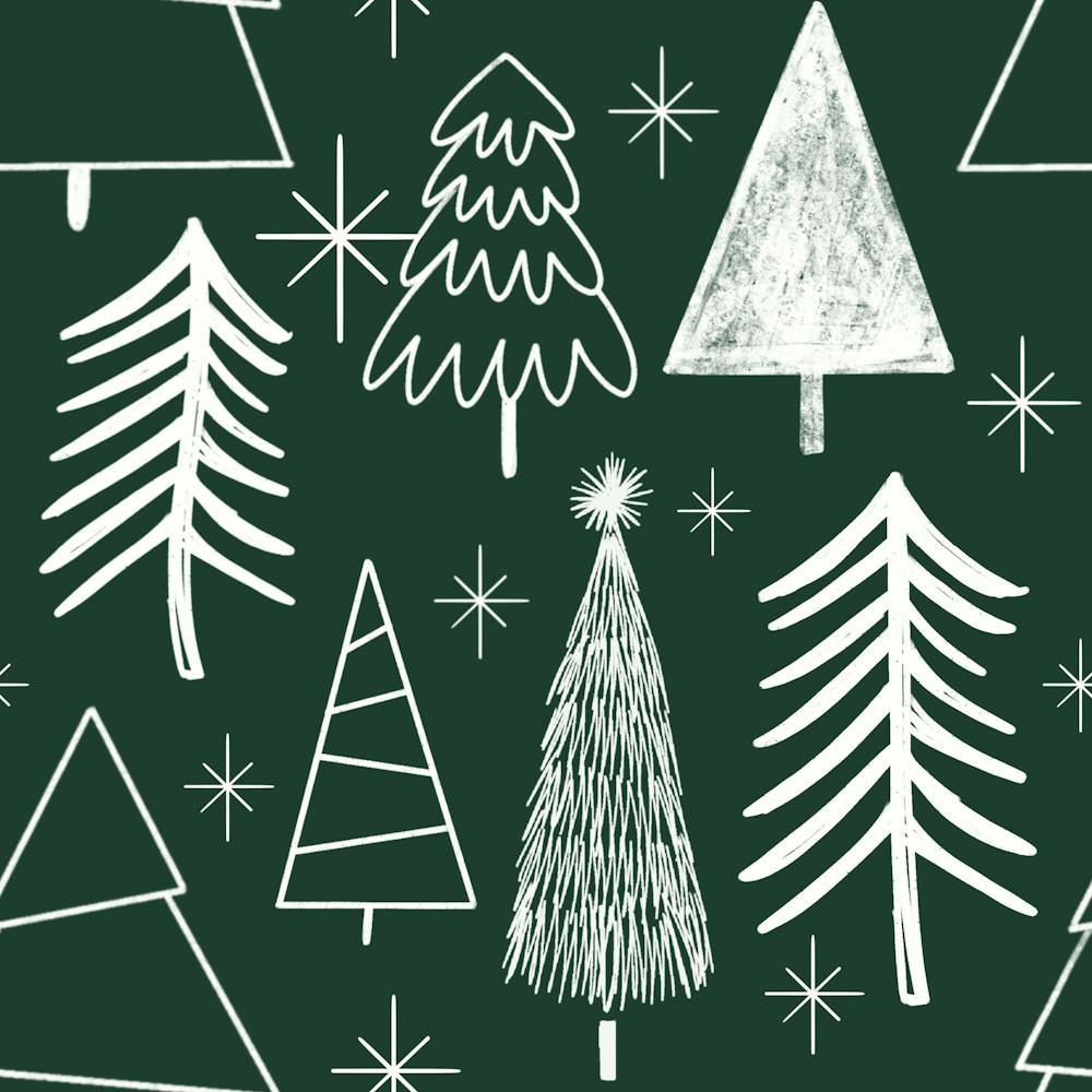 Christmas Tree Evergreen Tree Pine Tree Green