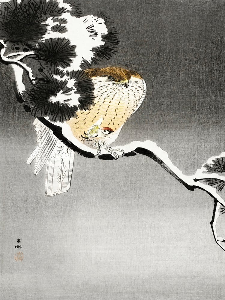 Hawk With Sparrow (1900 1930), Ohara Koson