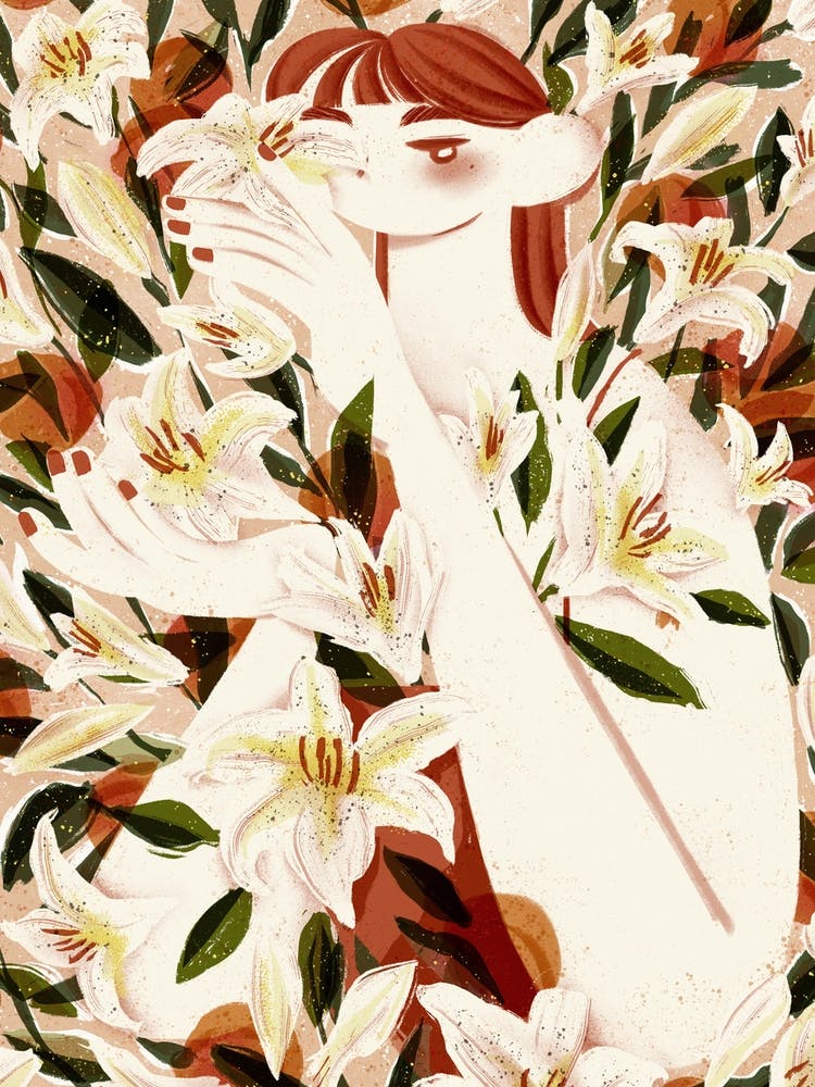 Lilies   Apricots