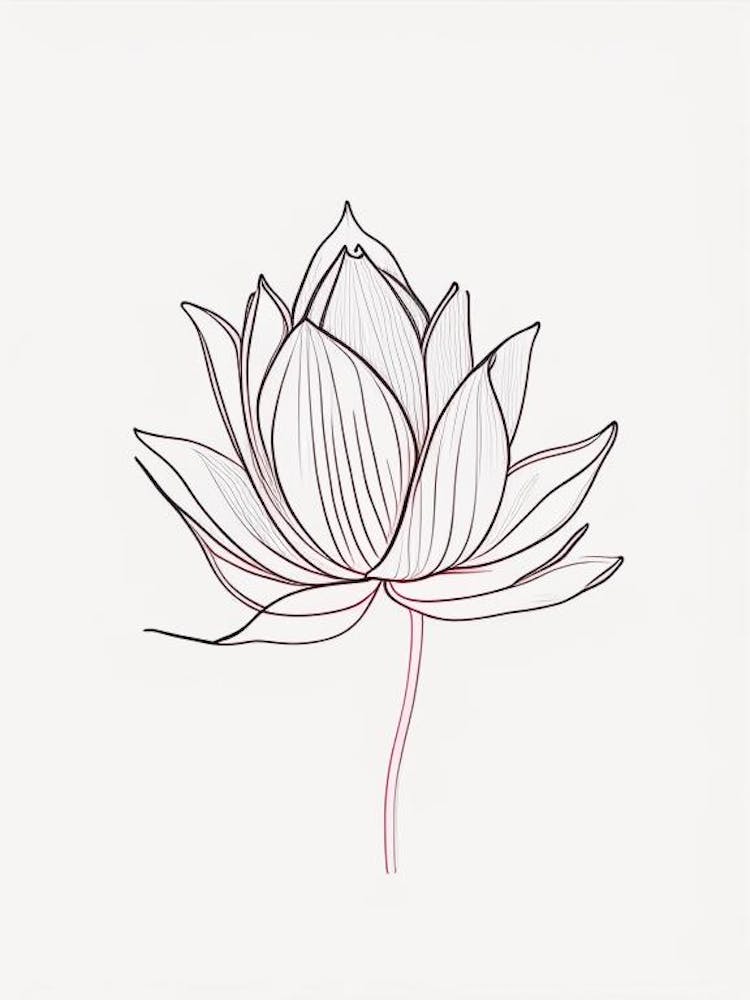 Lotus Flower, Buddhist Symbol Minimal Line Drawing 3