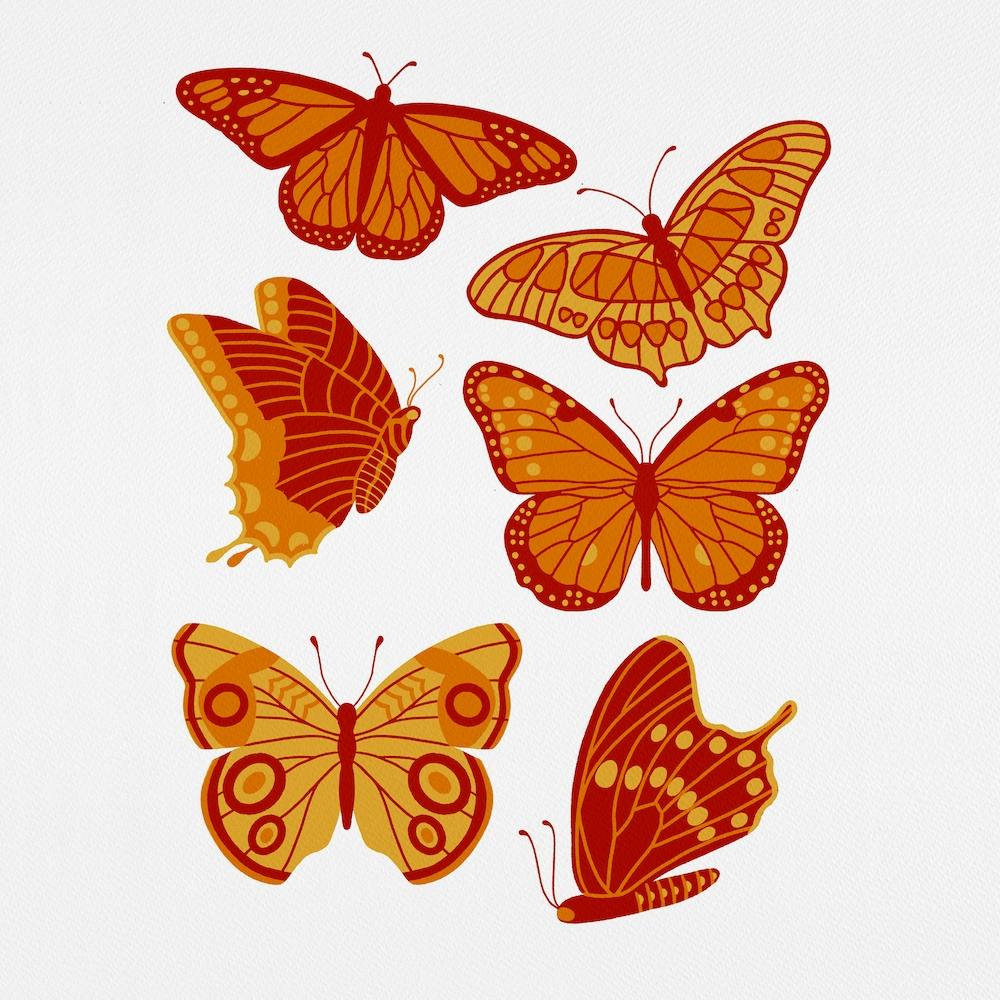 Texas Butterflies   Orange And Yellow Square