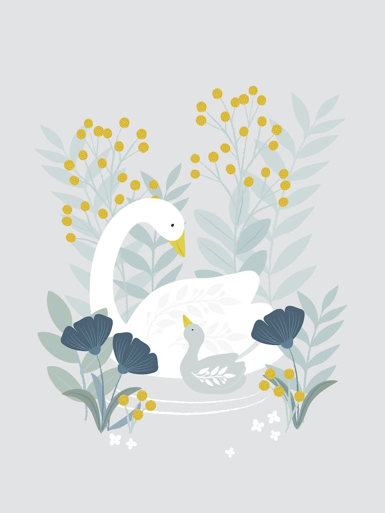 Mother And Baby Swan 2