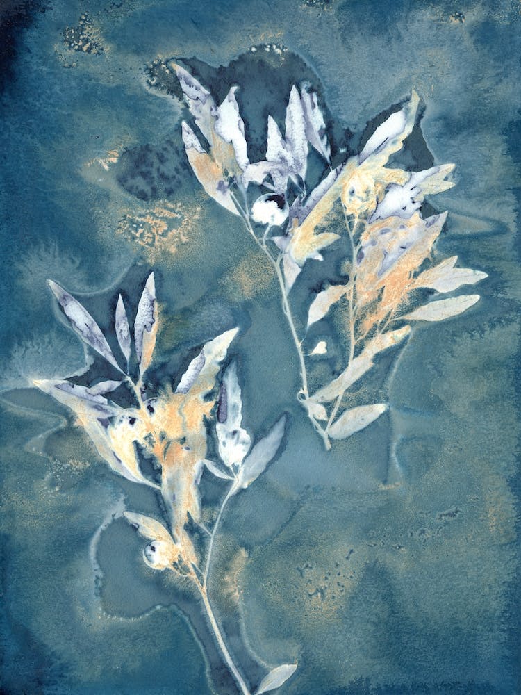 Botany Blue 3