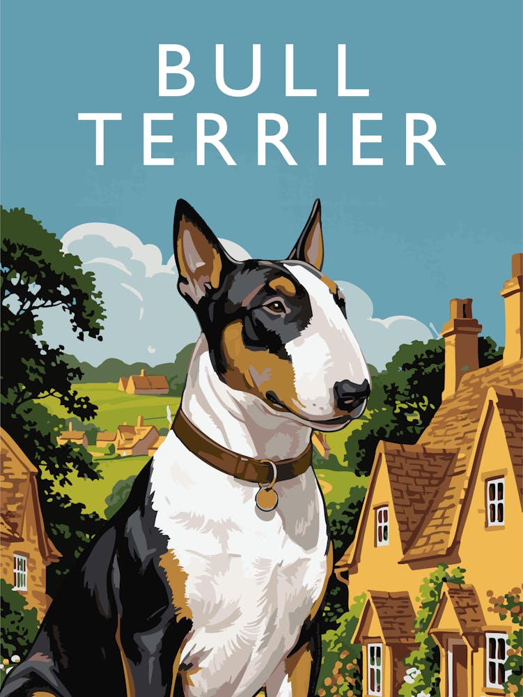 English Bull Terrier