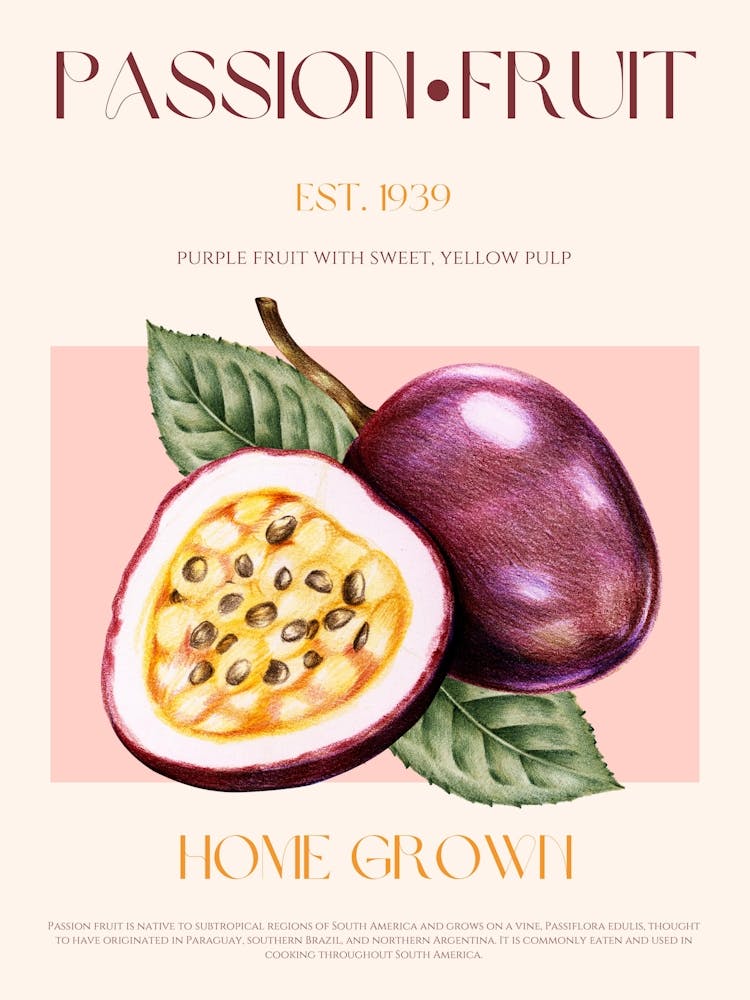 Passion Fruit Mid Century