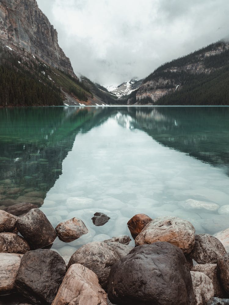 Montana Lake Views