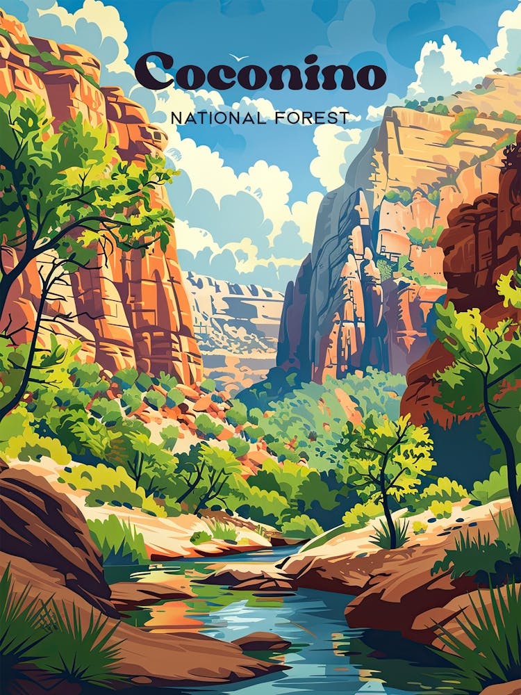 Coconino National Forest Arizona USA Reisekunst