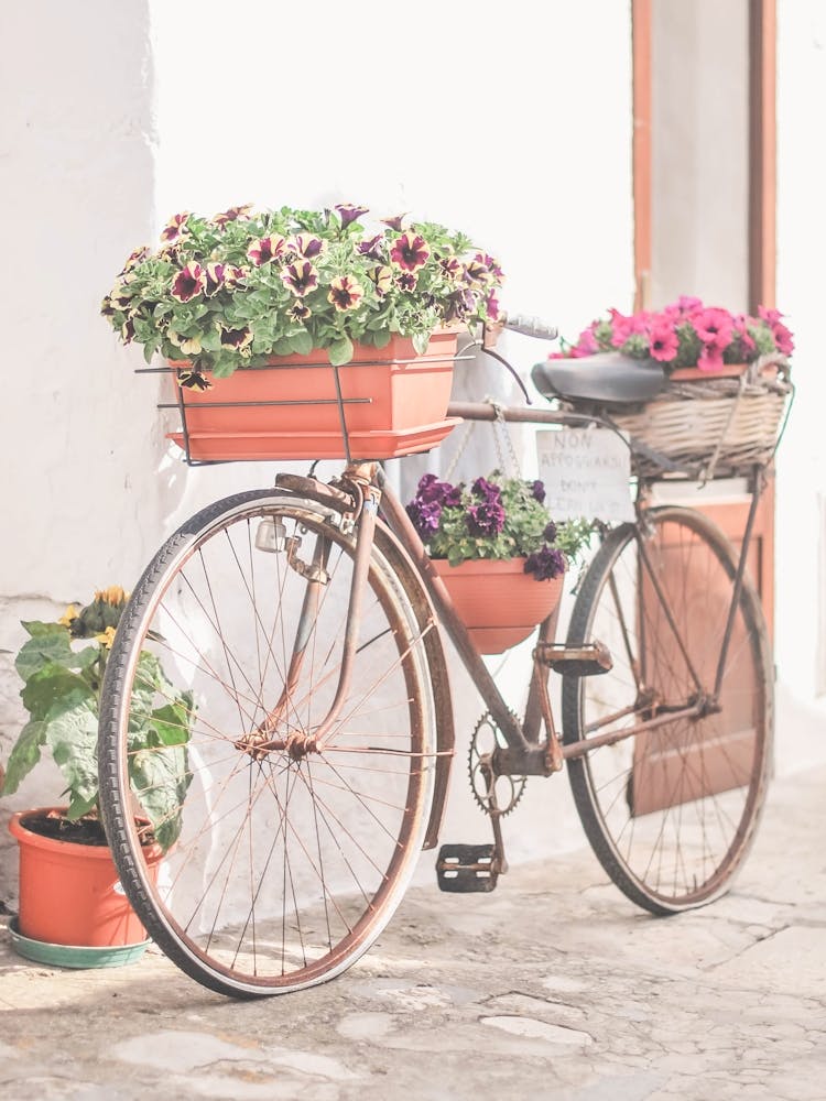 Puglia, Italy I Vintage retro bike with wild flowers photography in the Ostuni village in italian countryside in the atmosphere of Mediterranean sunshine light to the pastel summer aesthetic of La Dolce Vita