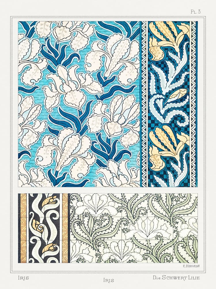 Iris From La Plante And Its Ornamental Applications (1896), Maurice Pillard Verneuil