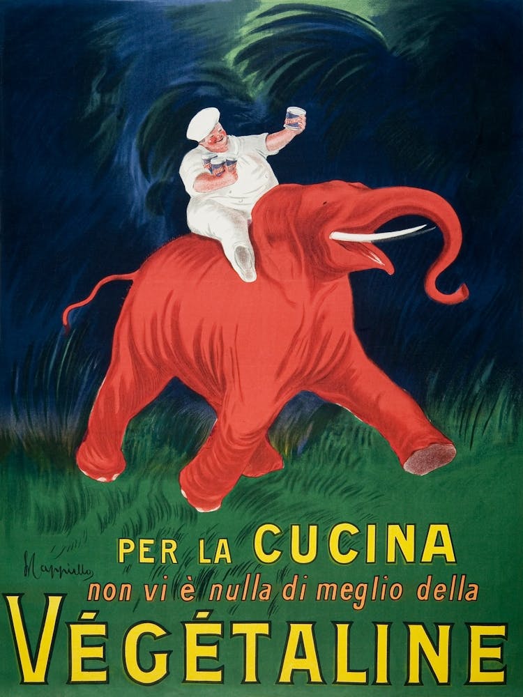 Man Riding An Elephant
