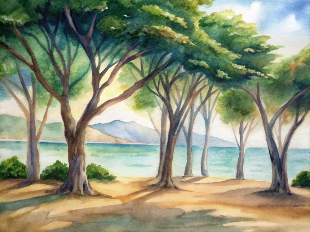 Trees By The Beach