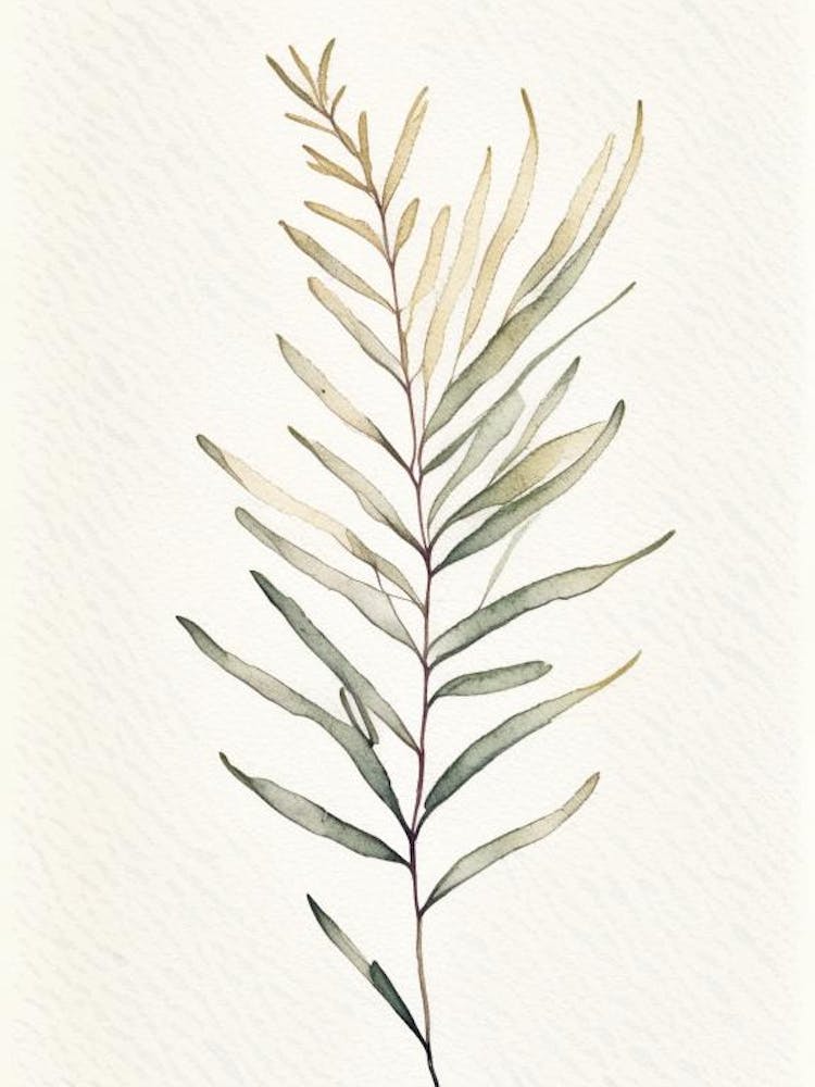 Sagebrush Leaf Minimalist Watercolour
