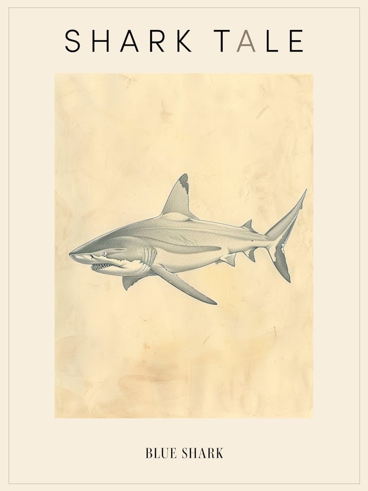 Blue Shark Vintage Illustration 2 Poster