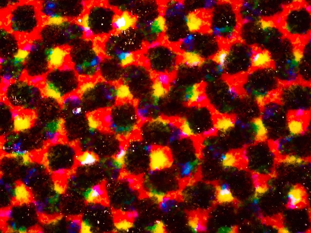 Abstract Ink Spot In Many Color Print On Flyer Paper Under The Microscope