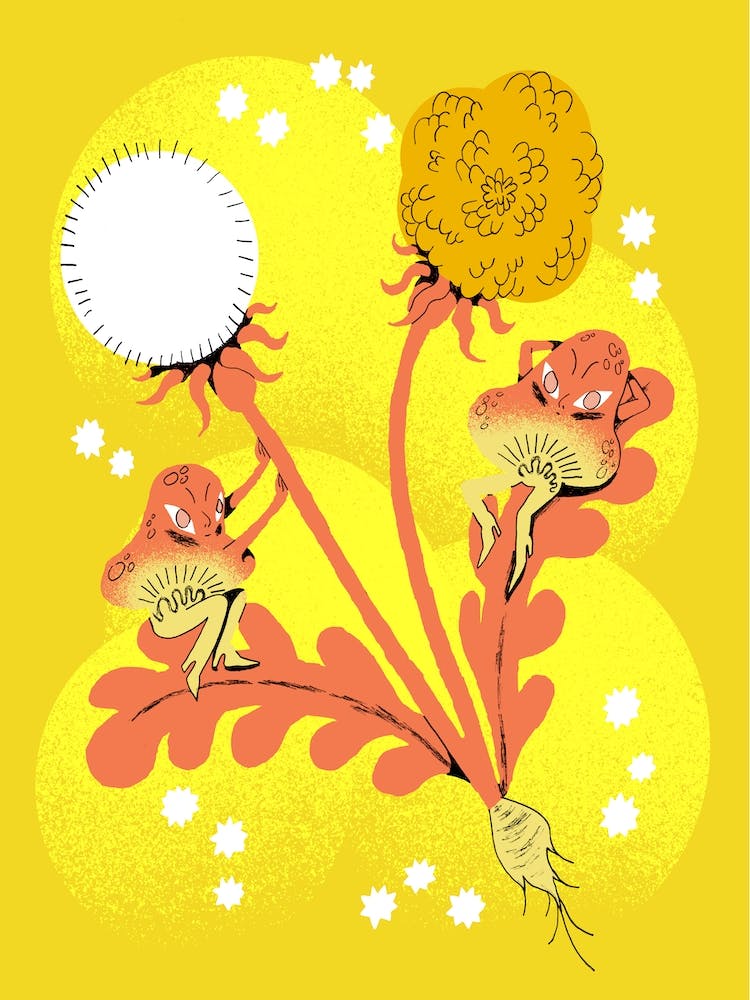 Dandelions And Mushrooms