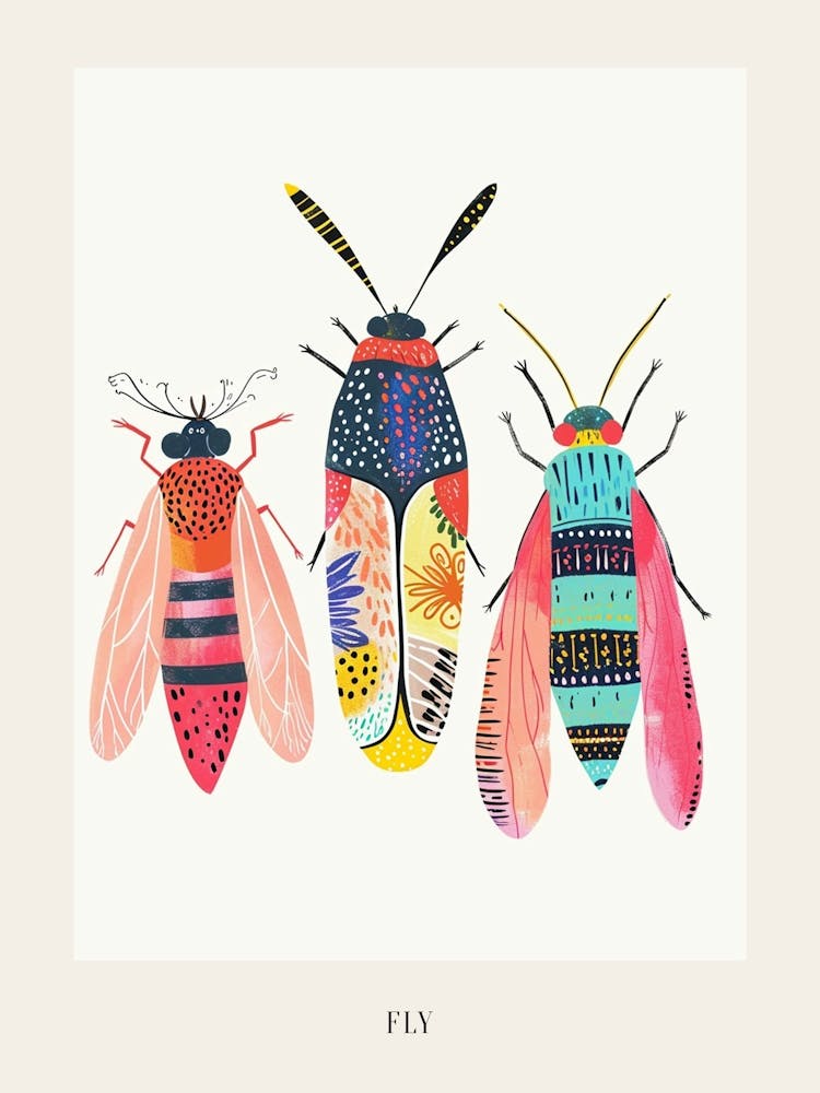 Colourful Insect Illustration Fly 8 Poster