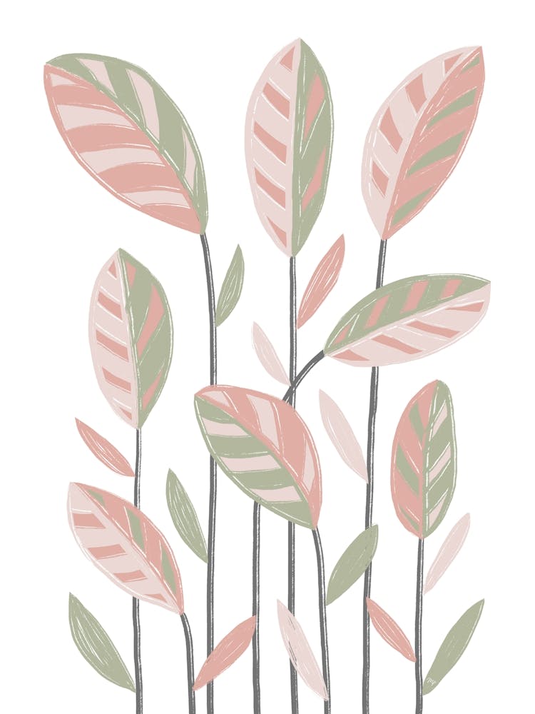 Funky Plants