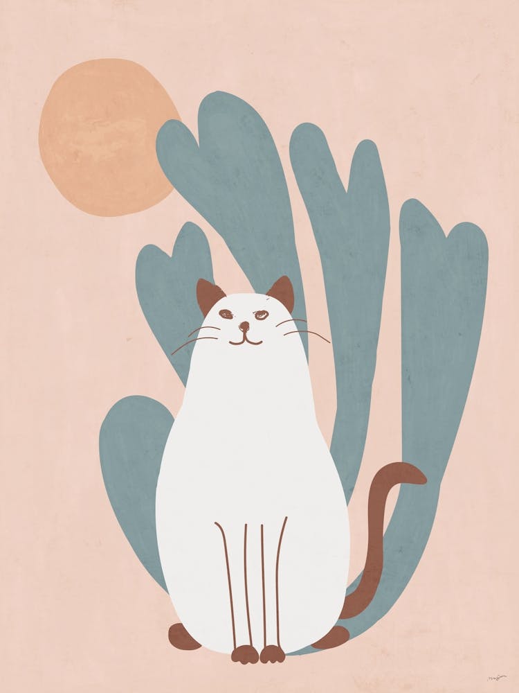 Cat In The Sun