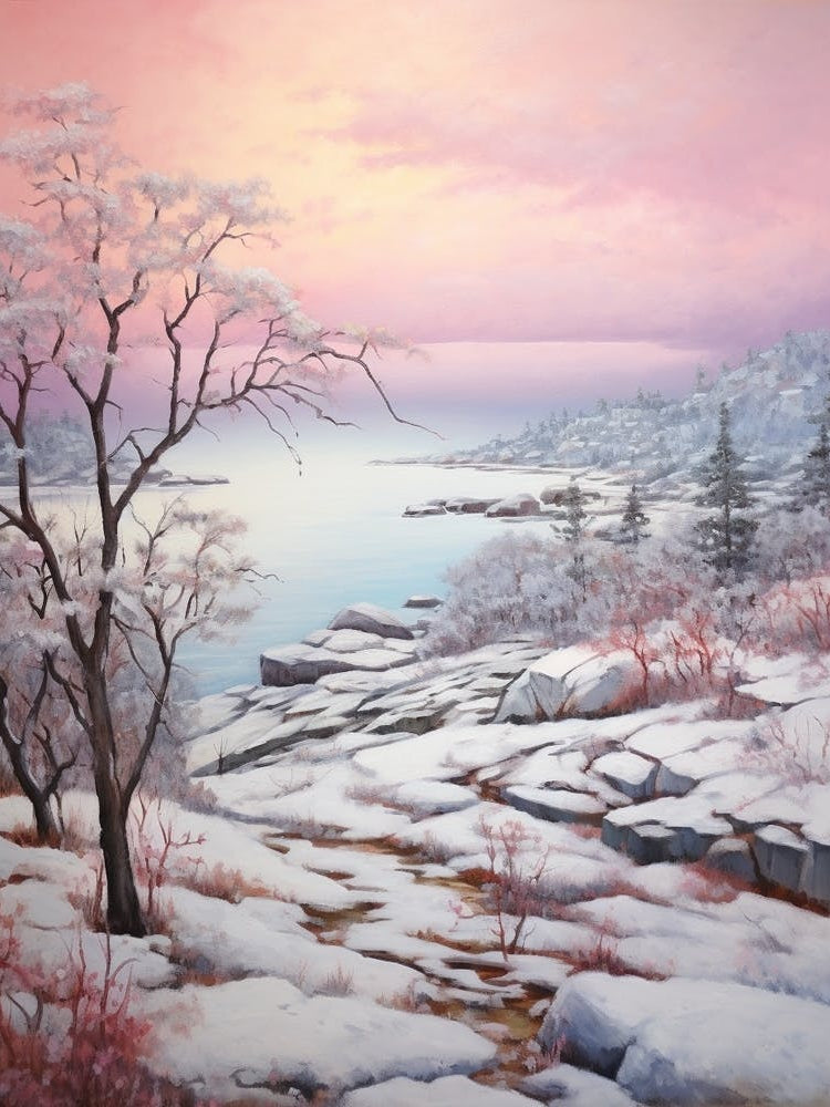 Dreamy Winter Painting Acadia National Park United States 2