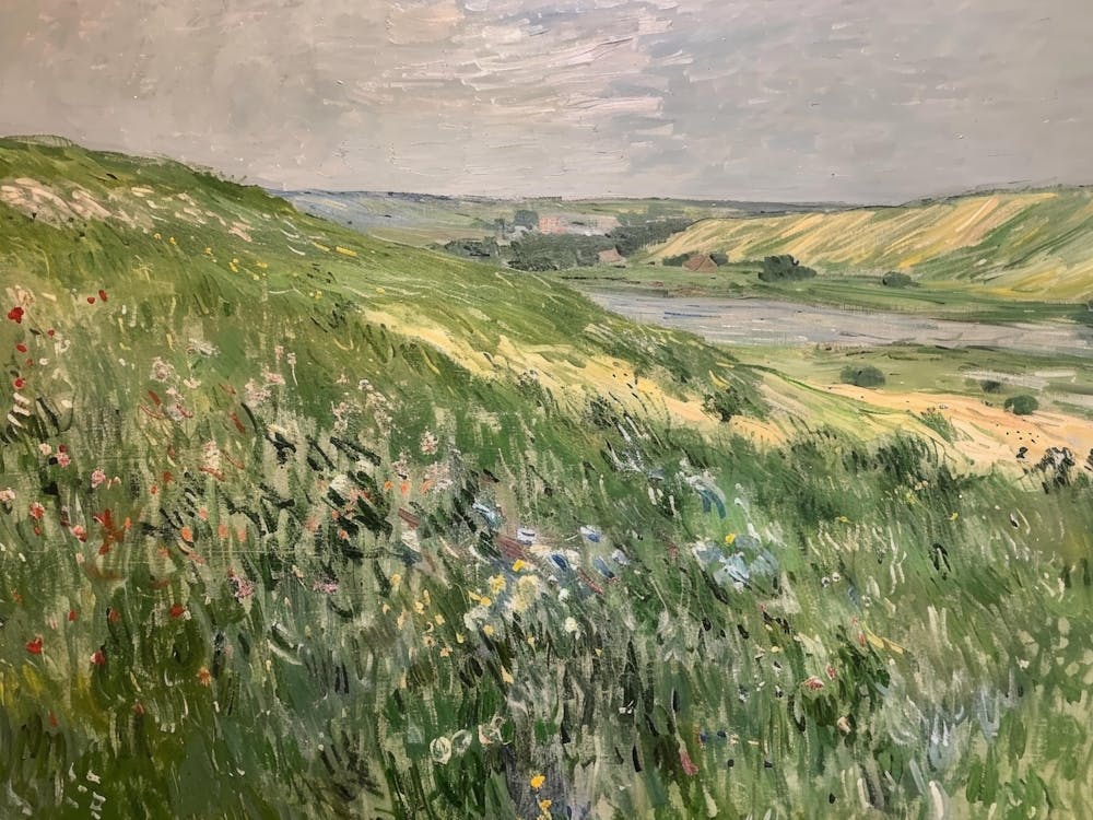 Claude Monet - Meadow With Flowers