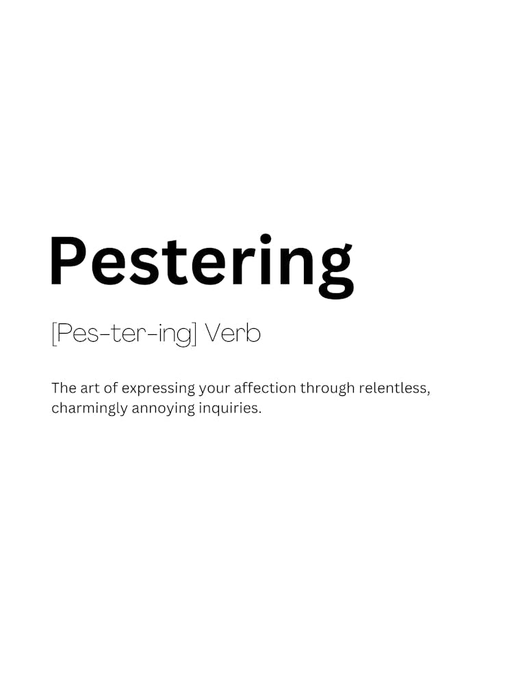 Pestering Definition Meaning