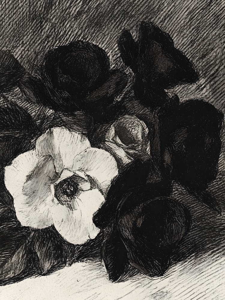 Black And White Roses 2