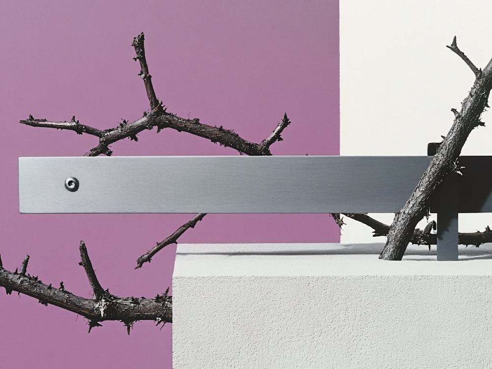 Tree Branches On A Wall
