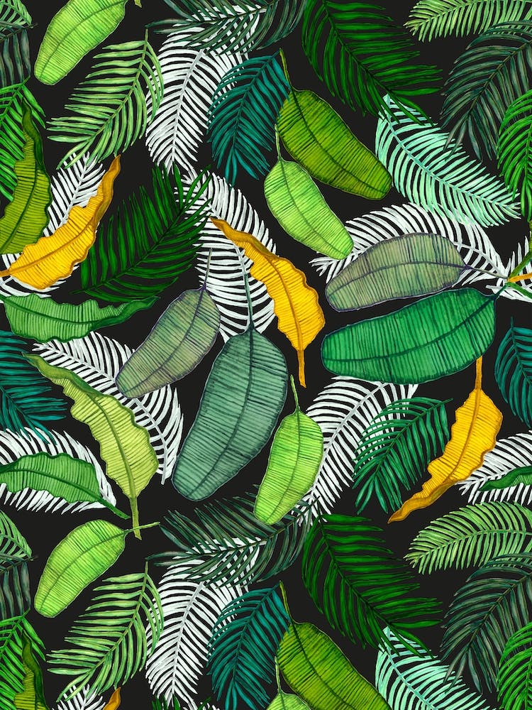 Tropical Green Leaves