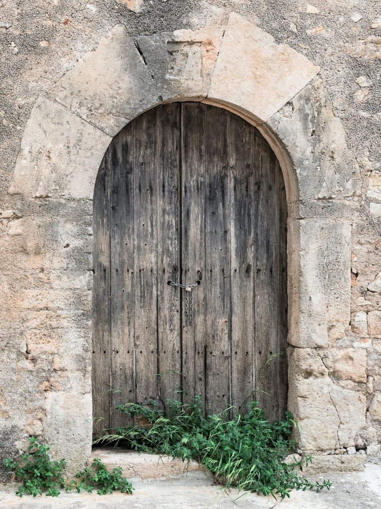 Old Wooden Door 2