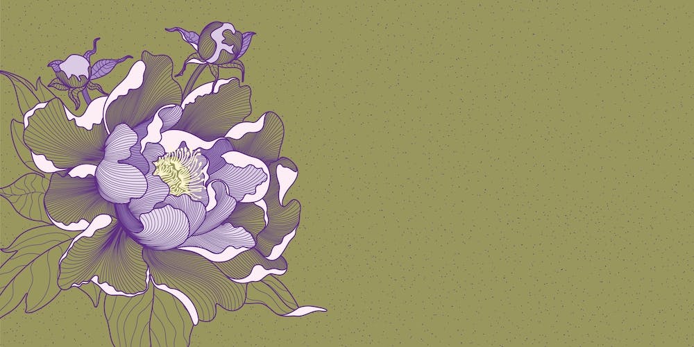 Peony Flower