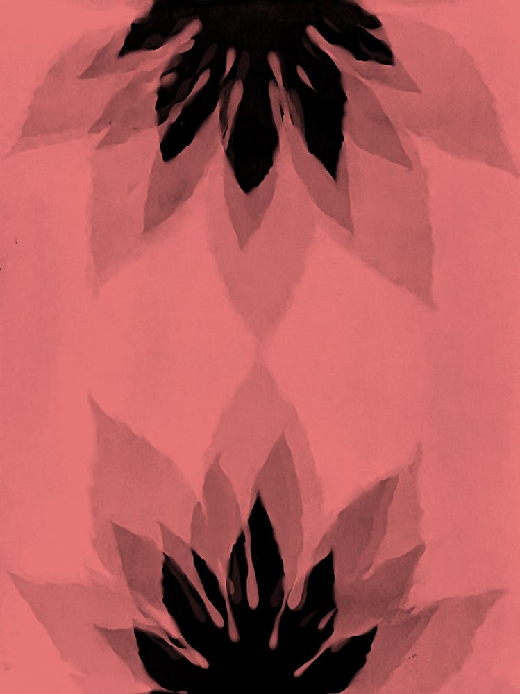Coral black leaf