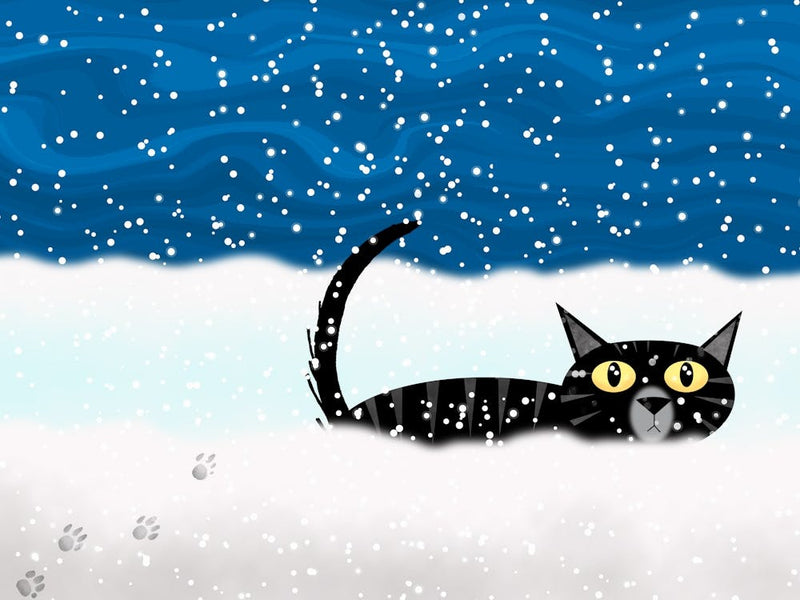 Cat Stuck in Snow