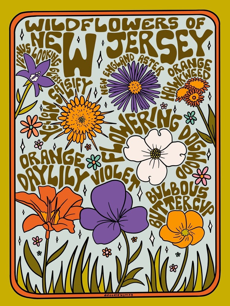 New Jersey Wildflowers