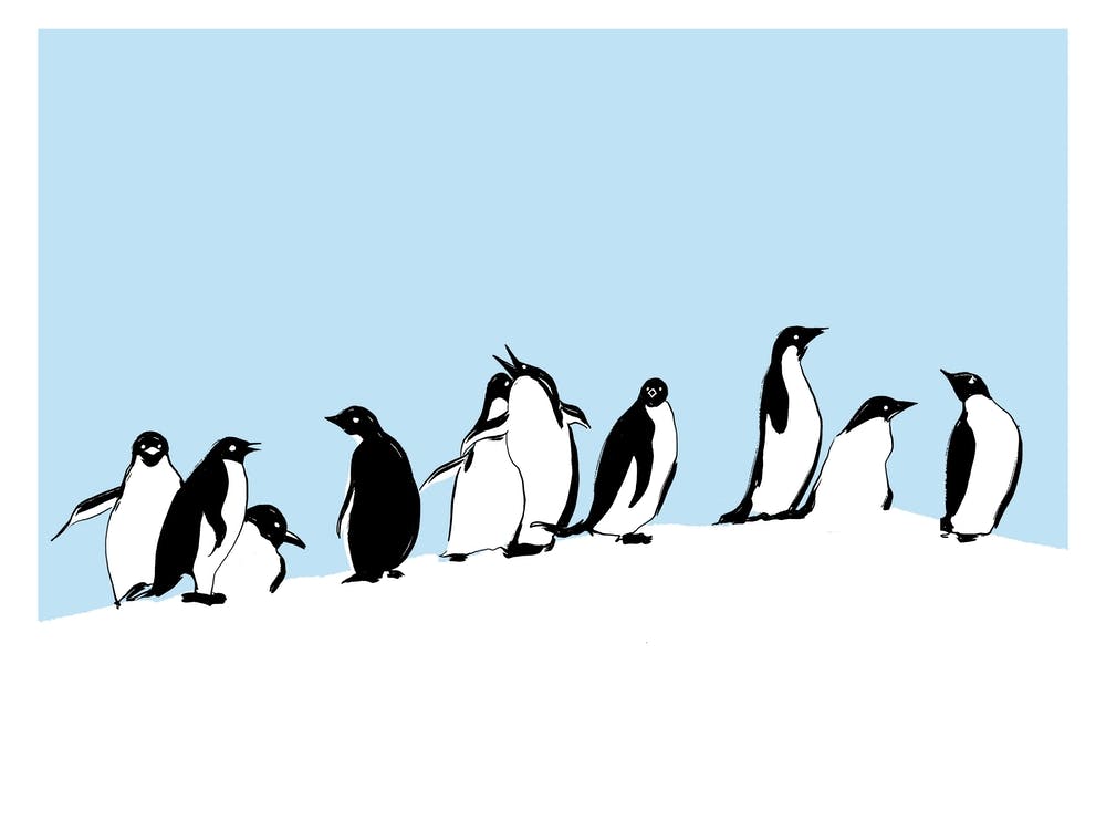 Art Of Penguins