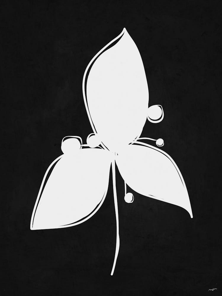 B&W Flower
