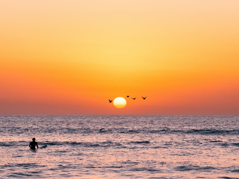Surfer And Seagulls At Sunset