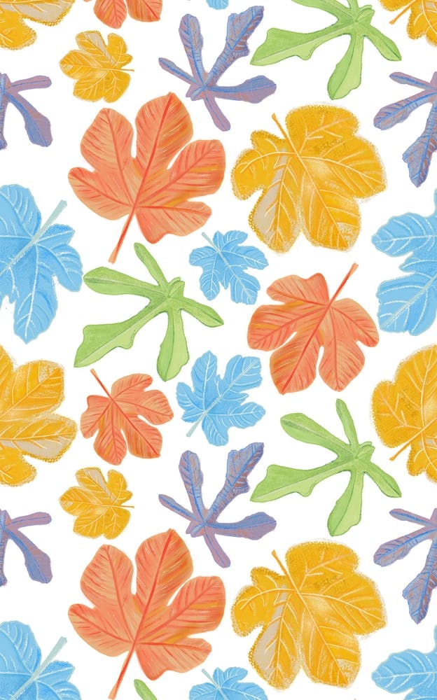 Colorful Fig Leaves