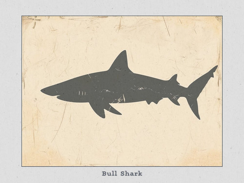 Bull Shark Grey Silhouette 4 Poster