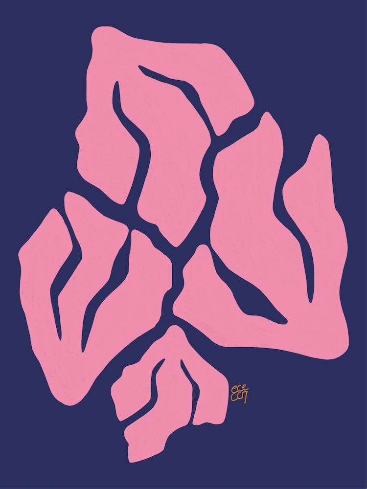 Pink Corals