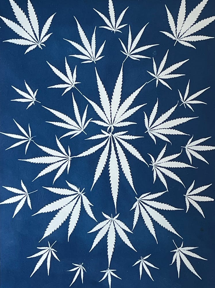 Hemp leaf cyanotype blue mirrored