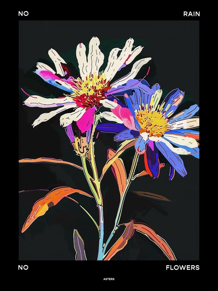 No Rain No Flowers Poster Asters 6